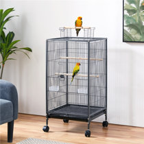 Cockatiel cages for 2024 sale near me